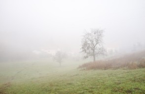 Weather Update Today 16 February 2024 in Hindi: जानिए भारत में अगले दो दिन कैसा रहेगा मौसम और आज दिल्ली का AQI क्या है